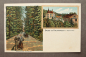 Preview: Ansichtskarte Litho AK Hausbaden 1900-1925 Waldpromenade Kunstdruck